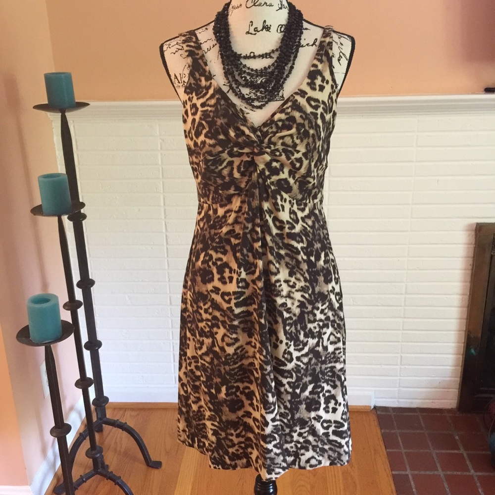 Scharke Leopard Print Silk Dress